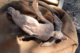 Vogelmann befreit von Eingusstrichter, Abluftkanälen und Gussfehlern auf dem Lederkissen